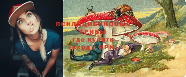 прущие грибы Дмитровск