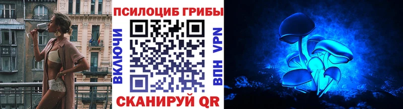 Купить Сертолово Галлюциногенные грибы MAGIC MUSHROOMS